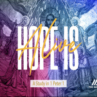 Our Hope In Salvation