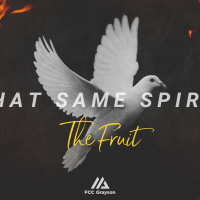 The Fruit of Holy Spirit