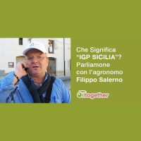 Ma che significa IGP Olio Sicilia?