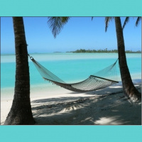 Welche auf ihn sehen werden erquickt