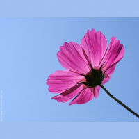 Erzählt von der Größe Gottes