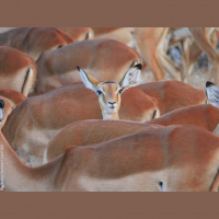 Predigt von Ruben Vetter