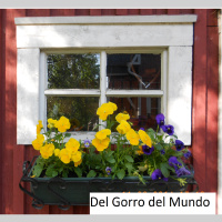 Del Gorro del Mundo # 63 Gustavo, un Veterano de Podcast