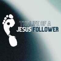 Week 4: Learn to Belong