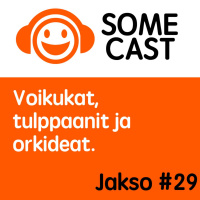 Voikukat, tulppaanit ja orkideat.