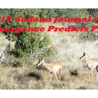 Sedona Journal of Emergence Predictions 2015-Part 2
