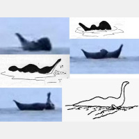 THE SEAL SERPENT with Host Scott Mardis and Guest Author Rob Cornes