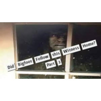 Did a Bigfoot Follow this Witness Home? Bigfoot Terrorizes Homeowner-Part 3