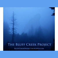 On the Shoulders of Giants- Talking with Thomas and the Bluff Creek Project!