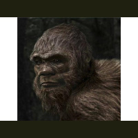 Monster X radio: Bigfoot Encounters