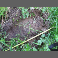 Monster X Radio: Bigfoot Screams in the Night with Chris Spencer