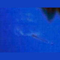 Haunted Sea with special guest Andy McGrath, author of Beasts of Britain