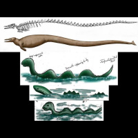 THE HAUNTED SEA-KEN GERHARD