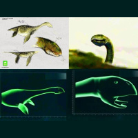 THE HAUNTED SEA WITH PROFESSOR HENRY H. BAUER