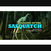 Sasquatch Island: Seasons of the Sasquatch