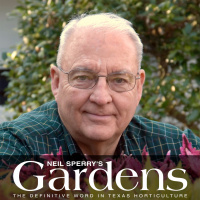 July 22, 2023 - Texas Lawn And Garden Hour