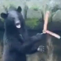 676 - Agony Uncles (11/1/22)