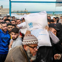 UNLOCKED: 805 - My First Genocide feat. Ali Abunimah (2/8/24)