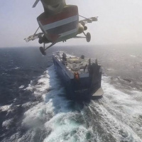 795 Teaser - Red Sea Rebels