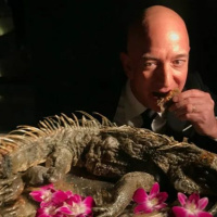 478 - World Tree Center (12/8/20)