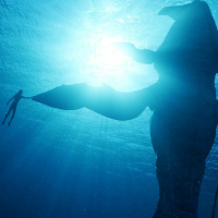 694 - Tulkun King (1/2/23)