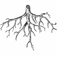 568 - Root Cause (10/18/21)