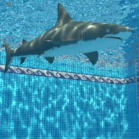 884 - Pool Boys (11/11/24)