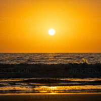 528 - Pacific Nights (5/31/21)