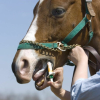 552 - The Nephew Gap (8/23/21)