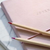 Take Note Highlights - Support the Team