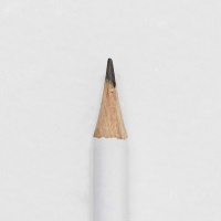 Take Note Highlights - A Champion