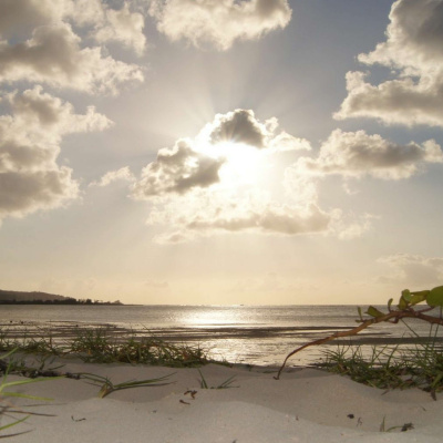 Latest: Harvest Family Radio