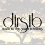 Deeper The Roots, Stronger The Branches