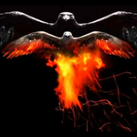 Rising from the Ashes