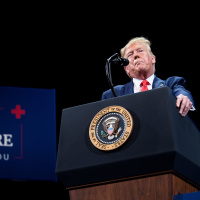 Processo de impeachment contra Trump tem impacto direto nas eleições 2020