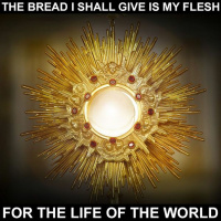 The bread I shall give is my flesh for the life of the world