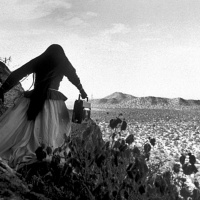 Dans le désert des grandes villes