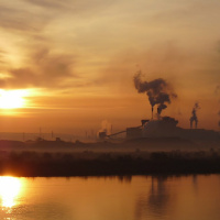 Les oiseaux dans lusine