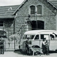 Episode 25 - Bristol Zoo