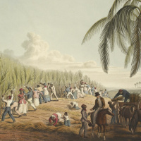 Episode 53 - Slave Wealth and British Industry: the case of Edward Protheroe