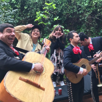 MODEM PODCAST 21è: igualtat als festivals i entrevista a Petunia