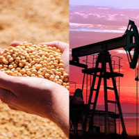 Até tu, commodities?