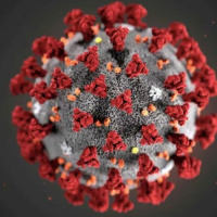 Extra! O impacto da variante Ômicron