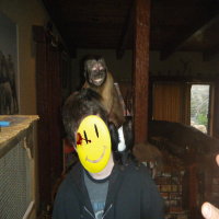 My Manifesto (The Schmuck Buddha Experience)