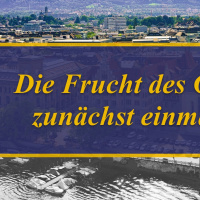 Galater 5,22 // Prof. em. Dr. Armin Mauerhofer