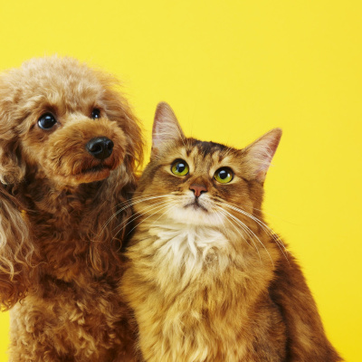 Brains On! Science Podcast For Kids