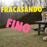 Fracasando fino 1x05 Deportes locos finlandeses