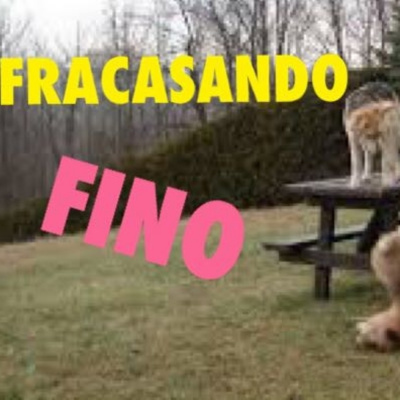 Fracasando Fino