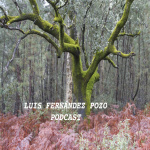 Podcast De Luis Fernández Pozo