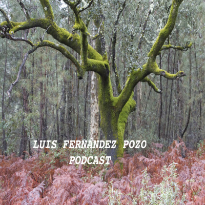 Podcast De Luis Fernández Pozo